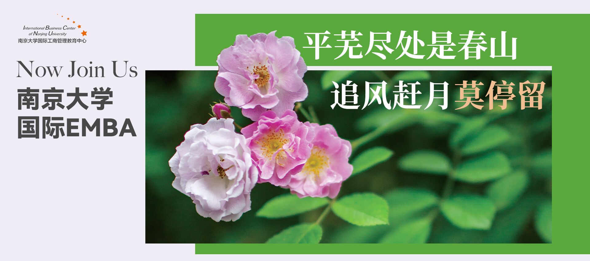 南京大学—荷兰马斯特里赫特大学国际EMBA项目
